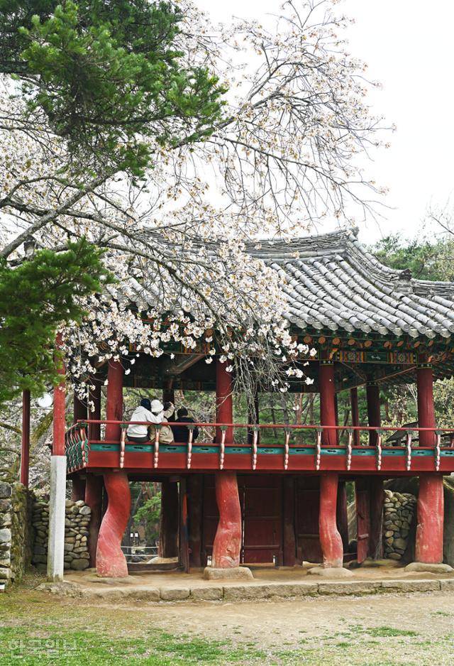 수승대 구연서원 입구 관수대. 나무 모양 그대로 휘어진 기둥이 예술작품처럼 보인다.