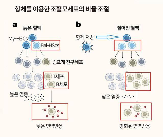 그래픽=신동준기자