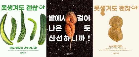 어글리어스 못난이 농산물 홍보 사진. 사진 어글리어스 인스타그램