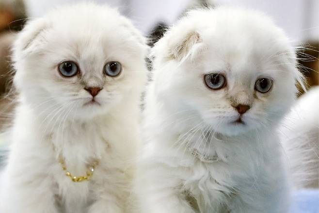 기사의 이해를 돕기 위한 자료 사진. TASS연합뉴스