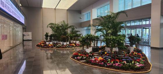 삼성전자 DSR 사옥에 설치된 화단 모습. [독자 제공]