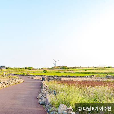 봄의 청량함이 가득한 가파도 청보리 축제
