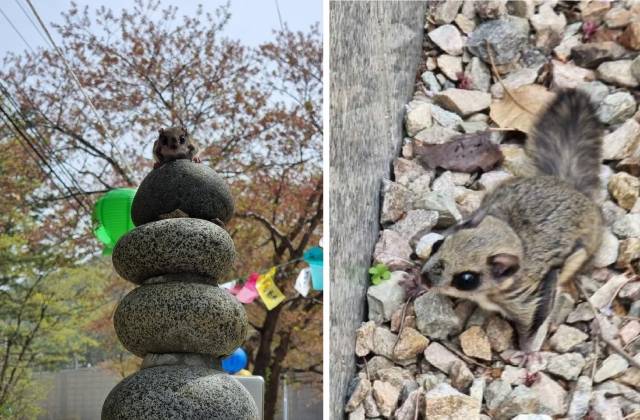 석정 스님 제공·연합뉴스