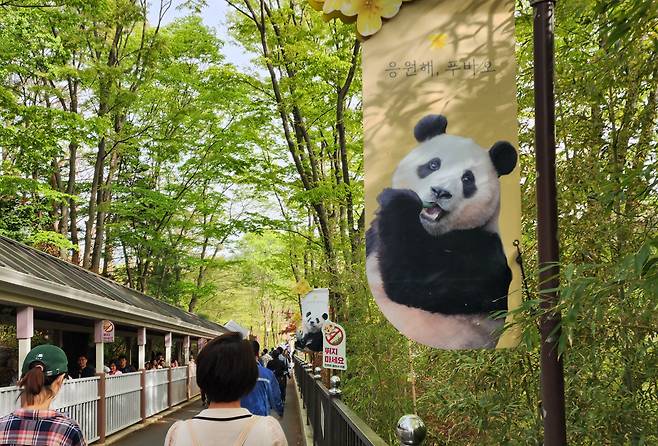 에버랜드 곳곳에는 여전히 푸바오의 행복과 건강을 기원하는 응원 깃발이 나부끼고 있다.