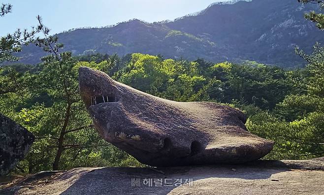 상어모양의 흔들바위