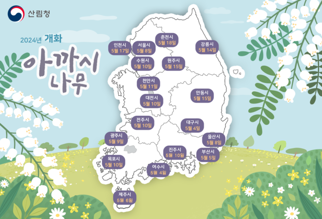 2024년 아까시나무 개화 시기 예측지도. 산림청