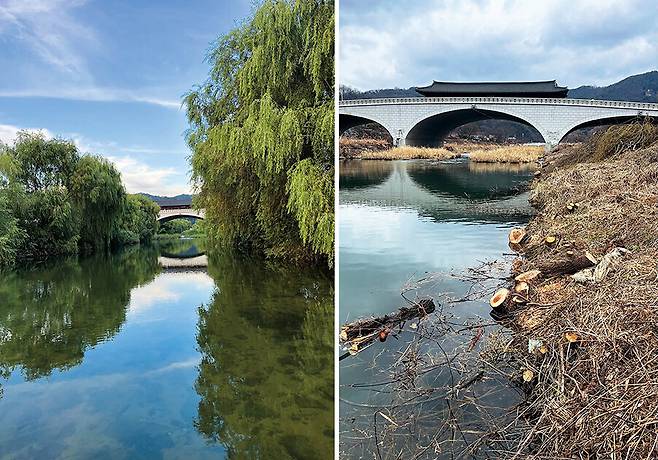 전주시가 버드나무 숲을 베어내기 전(왼쪽)과 후 남천교 일대 모습. 모아 제공