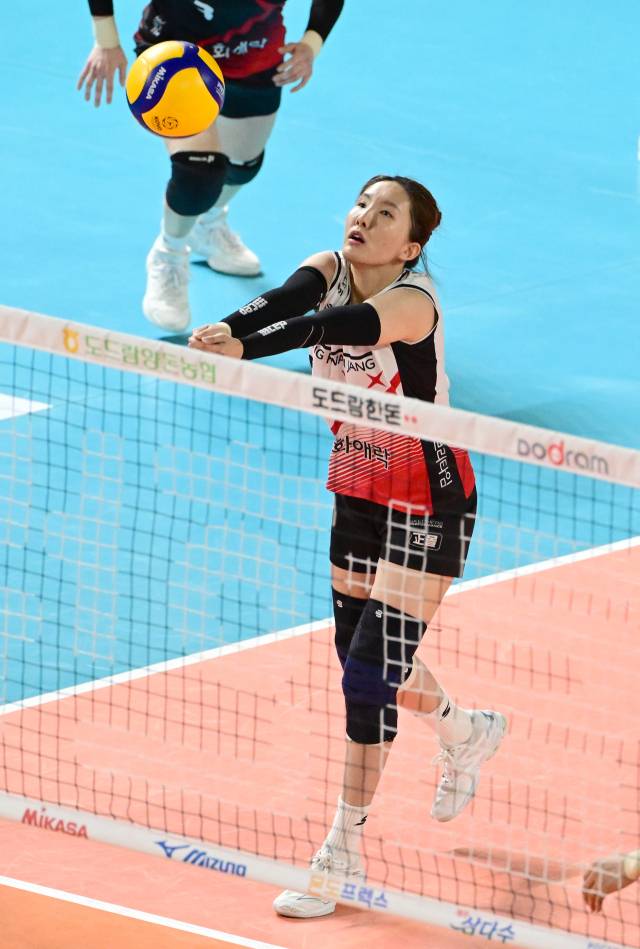 정관장 레드스파크스 노란./KOVO