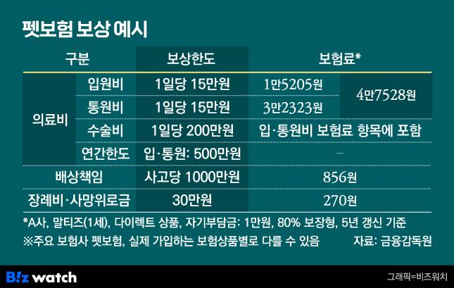 펫보험 보상 예시/그래픽=비즈워치