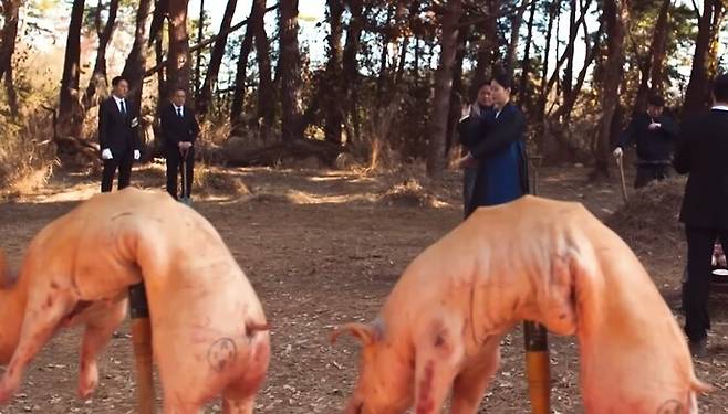 영화 ‘파묘’ 대살굿 장면에서 모형이 아닌 실제 돼지 사체가 사용된 것으로 확인됐다. 쇼박스 유튜브 갈무리