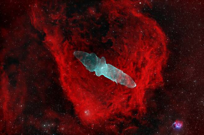 제32회 천체사진공모전서 우수상을 받은 이충현씨의 ‘Flying Bat and Squid Nebula’./한국천문연구원
