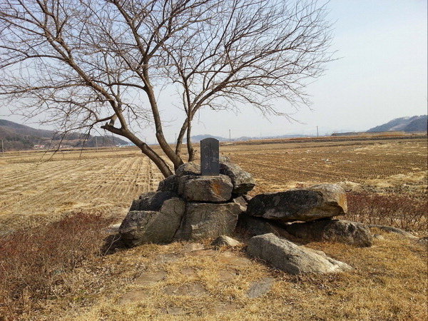 백의 종군 중인 이순신은 정유년 4월 13일 일기에 해암(충남 아산시 안주면 해암리) 바닷가로 달려가 돌아가신 어머니를 부둥켜안고 통곡한 일을 기록했다. 그곳은 지금은 매립돼 위 사진처럼 논이 됐고, 후인들은 그곳에 펫말을 세워 놓고 충무공 충효를 기린다. 필자 제공