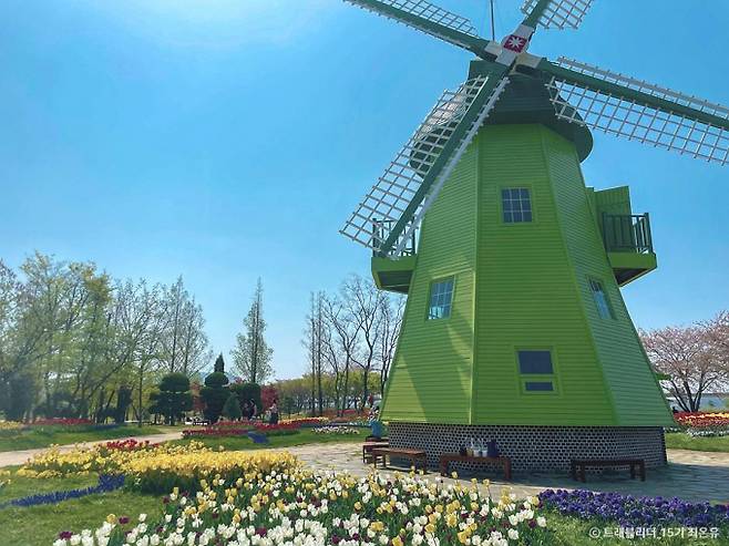 순천만국가정원에 튤립과 팬지가 활짝 피어있다. /사진=한국관광공사