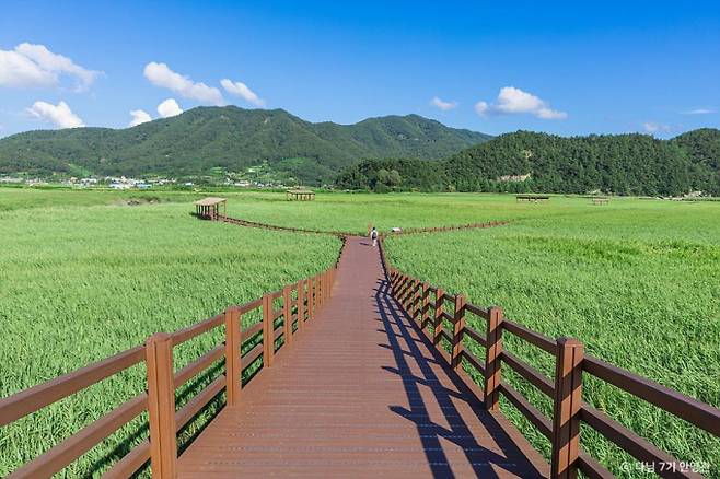 순천만습지의 광활한 풍경. /사진=한국관광공사