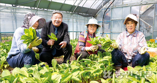 김병두 강원 태백농협 조합장(왼쪽 두번째)이 명이나물 재배농가를 찾아 수확 작업을 살피고 있다.