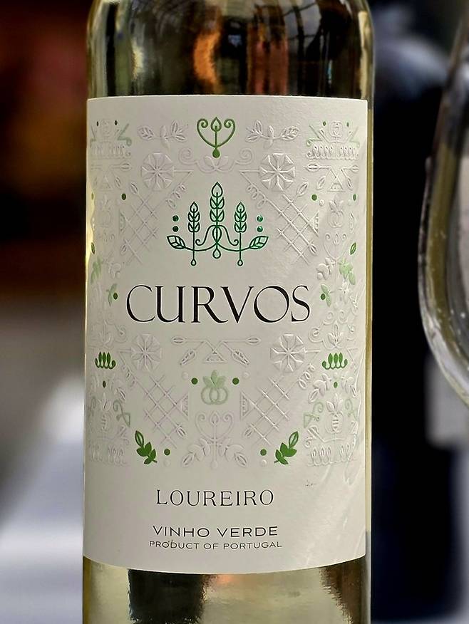 쿠르보스 루레이루. 최현태 기자