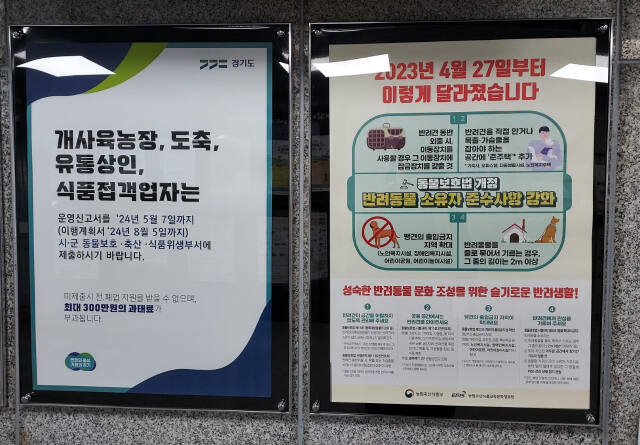 의정부시가 청사 게시판에 부착한 개식용 종식 관련 홍보 포스터. 의정부시 제공