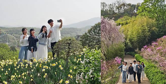용인 에버랜드에는 계절마다 다양한 꽃을 볼 수 있는 포시즌스가든, 장미원, 뮤직가든, 하늘정원길, 포레스트캠프 등 5대 정원이 있다. 사진은 에버랜드 최고 전망을 자랑하는 하늘정원길을 걸으며 사진을 찍는 관람객들. 에버랜드 제공