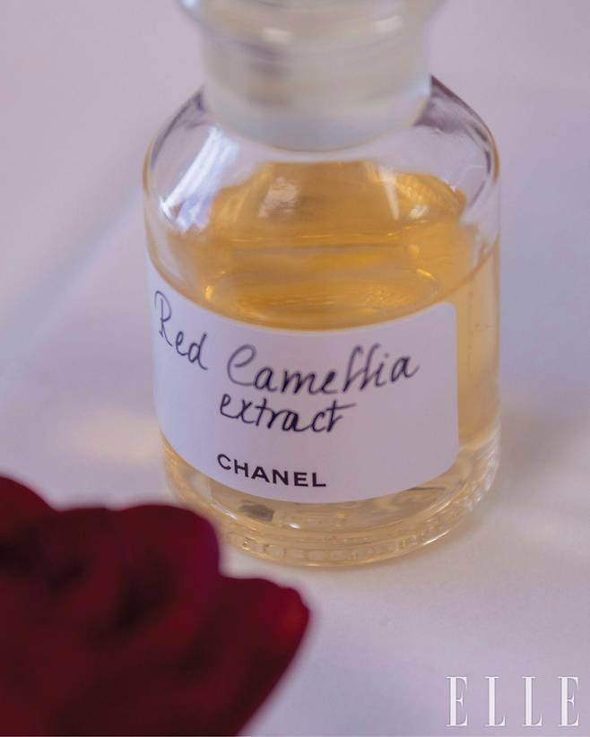 N°1 DE CHANEL 제품과 그 안에 들어가는 레드 까멜리아 추출물 샘플들.