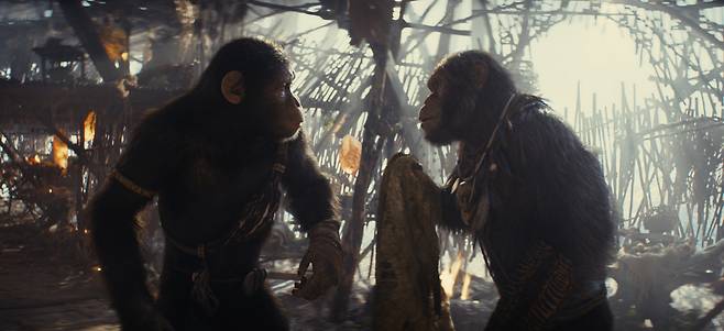 A scene from "Kingdom of the Planet of the Apes" (Walt Disney Company Korea)