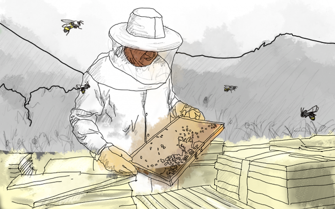 그래픽=이승렬 디자이너
