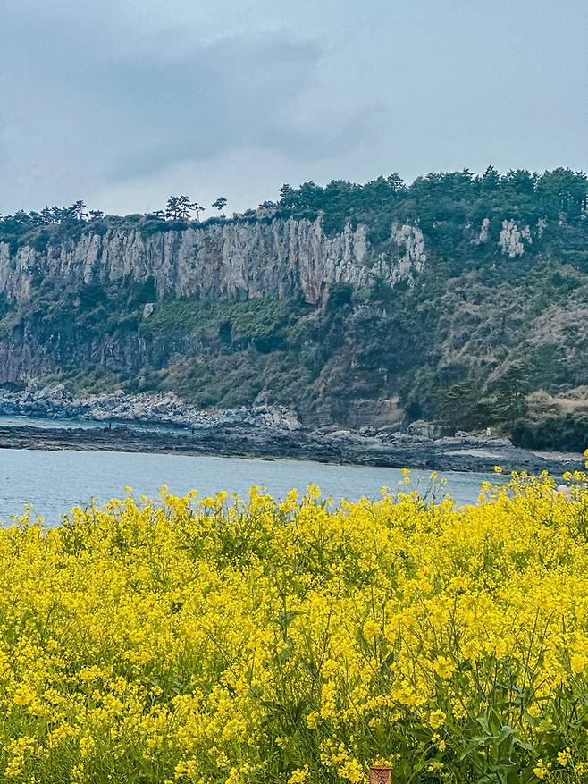 야외 전망대 방향의 바다 모습 / 사진=권효정 기자