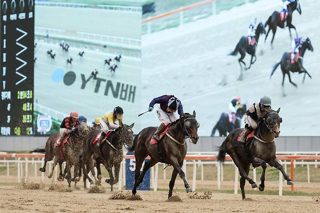 YTN배에서 우승한 글로벌히트와 김혜선 기수(오른쪽에서 두 번째)의 결승선 통과 장면. 사진제공=한국마사회