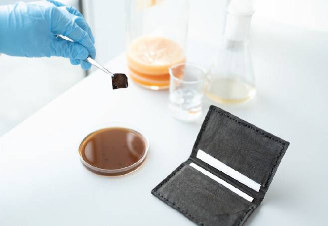 박테리아 셀룰로오스로 만든 가죽 지갑. 박테리아가 가죽이 될 셀룰로오스를 합성하면서 검은 색소까지 만들어 염색까지 해결했다./영국 임페리얼 칼리지 런던