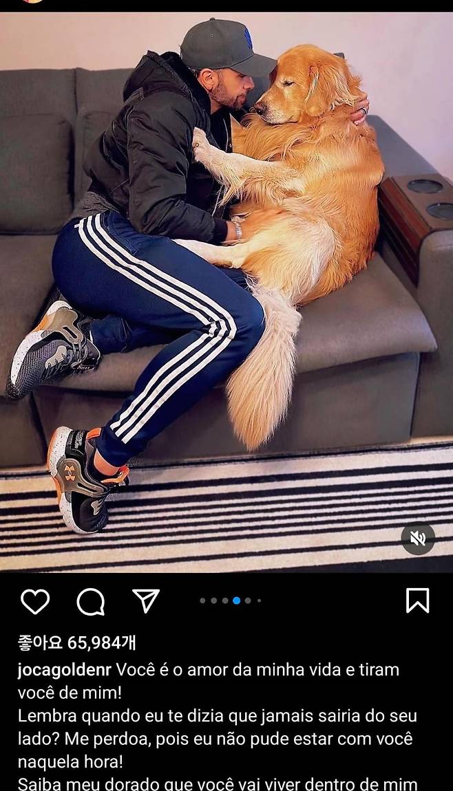 주앙 판타치니와 그의 반려견 조카(Joca)/사진=주앙 판타치니 인스타 캡처