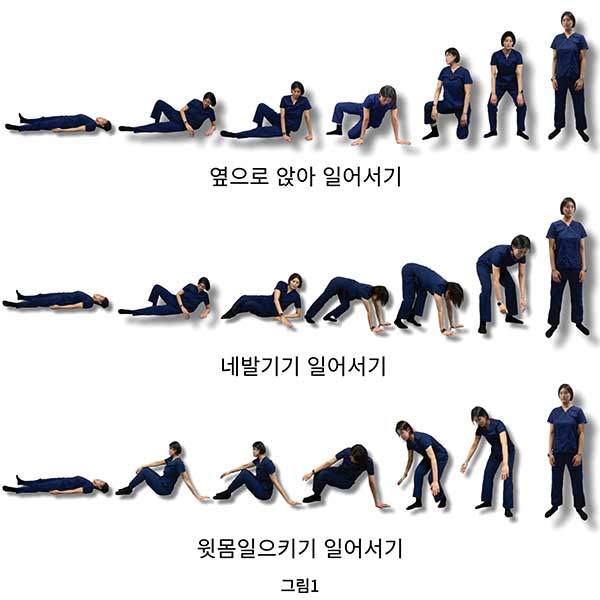 그림1_ 바닥에서 일어서는 전환 동작 중 세 가지 가장 일반적인 방법. 50%는 옆으로 앉아 일어나기를 선택하고, 35%는 네 발로 기기 동작을 사용하며, 15%는 윗몸일으키기로 일어서기를 선택합니다.
