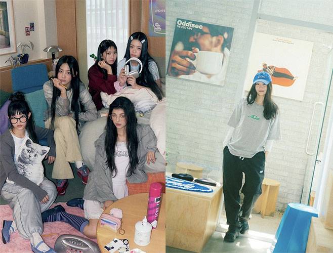 티브이데일리 포토