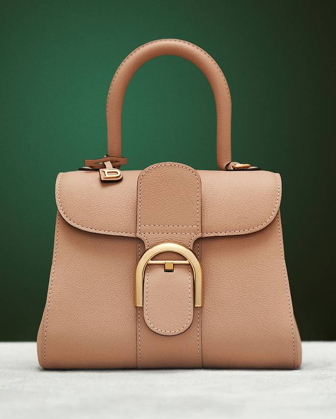 브리앙 Mini 비죵. /델보 제공