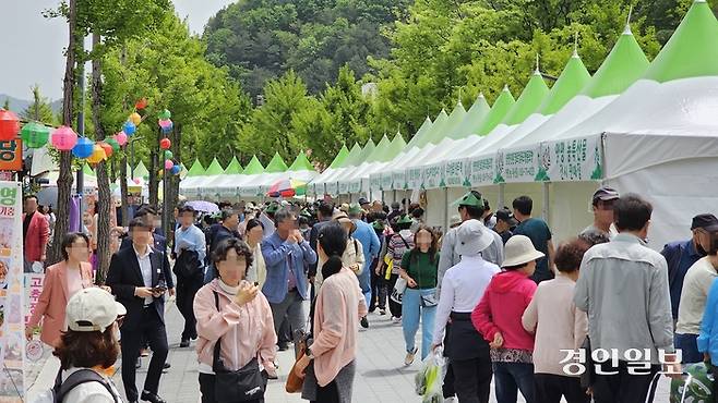 제14회 양평 용문산 산나물축제가 28일까지 용문산 일원에서 진행된다. 용문산 아래로 산나물 판매 부스가 줄지어 있다. 2024.04.26 양평/장태복기자 jkb@kyeongin.com