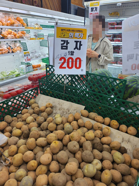 27일 경기 파주에 자리잡은 ‘올소 식품관’을 찾은 한 고객이 개당 100원에 판매하는 감자를 살펴보고 있다.