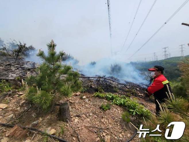 충남 당진 산불 현장(산림청 제공)/뉴스1