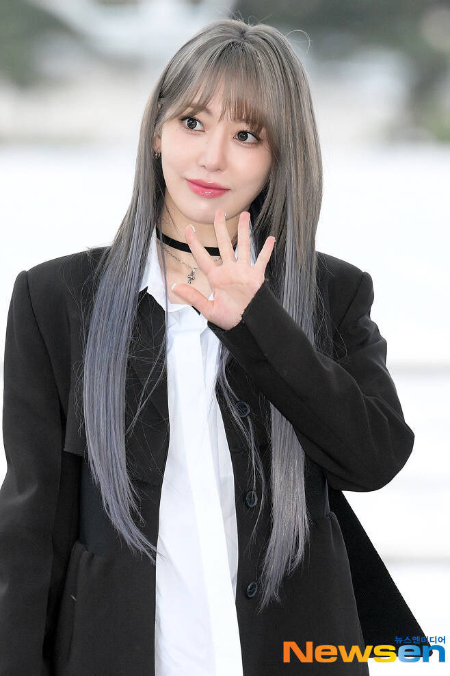 사쿠라/뉴스엔DB