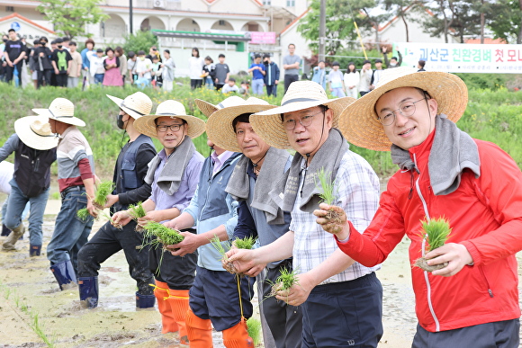 괴산군 사리면 중흥리 이관식씨 농가의 논에서 29일 친환경 벼 첫 모내기를 했다. [사진=괴산군]