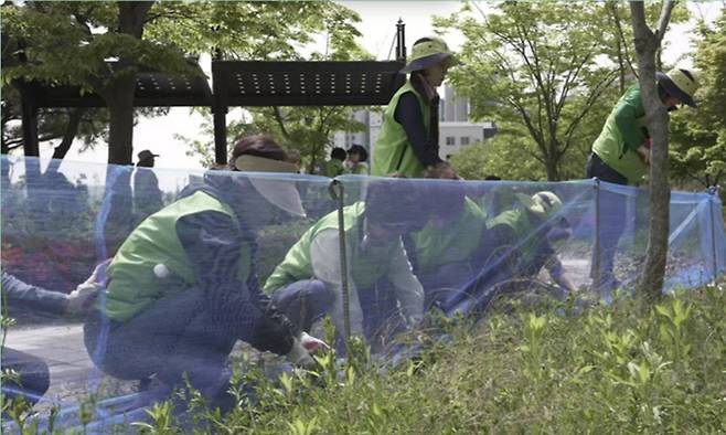 울산 중구 직원들이 장현저류지 일대에 새끼 두꺼비들의 안전한 이동을 위한 울타리를 설치하고 있다. 울산 중구 제공