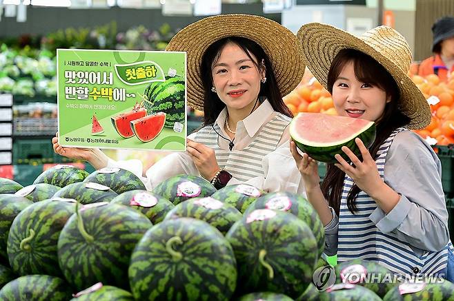 농협 하나로마트, 봄 수박 판매 [농협유통 제공. 재판매 및 DB 금지] photo@yna.co.kr