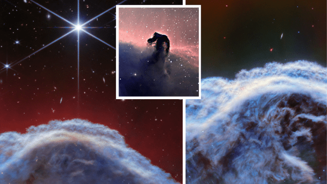 JWST의 근적외선 카메라로 본 말머리 성운의 이미지와 중적외선 카메라로 촬영된 이미지(가운데) (사진= ESA/Webb, NASA, CSA, K. Misselt)