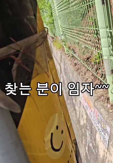 최근 ‘보물찾기’의 일종인 ‘캐치캐시 챌린지’가 SNS에서 인기를 끌고 있다. 인스타그램 갈무리