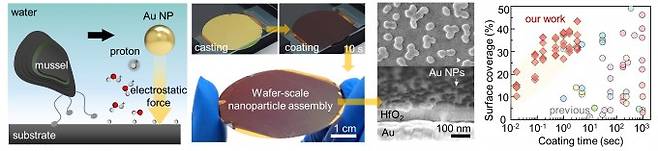 홍합에서 영감을 받은 나노입자 조립 기술을 설명한 그림(왼쪽)과 연구팀이 10초 만에 조립한 나노 입자 코팅. GIST 제공