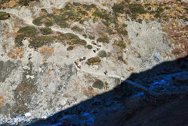 트레커와 현지인들의 짐을 당나귀에 싣고 날라주는 말몰이꾼들.