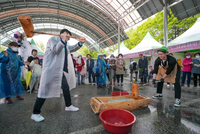 지난해 5월 양구에서 열린 곰취 축제를 찾은 관광객이 곰취 떡메치기 체험을 하고 있다. 양구군 제공