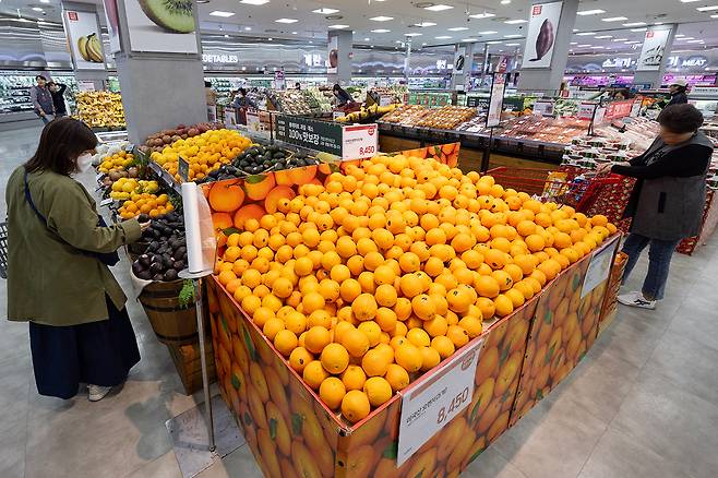 4월17일 서울의 한 대형마트 과일 코너에 오렌지 등 수입 과일이 진열되어 있다. 정부는 농산물 값 안정을 위해 수입 농산물의 관세를 대폭 낮췄다. ⓒ시사IN 조남진