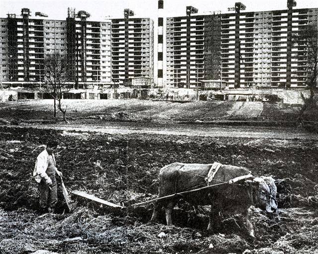 1976년의 서울 강남 압구정동. 농부가 밭갈이하는 벌판 저쪽에 고층 아파트들이 들어서기 시작했다. 이때부터 3년간 강남지역 땅값은 7~8배 뛰었다. 천년의상상 제공