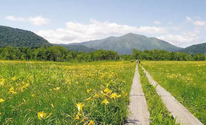 오제 국립공원의 가장 큰 습원인 오제가하라 습원을 따라 야생화의 아름다움을 느낄 수 있는 목도가 보인다. /비타투어 제공