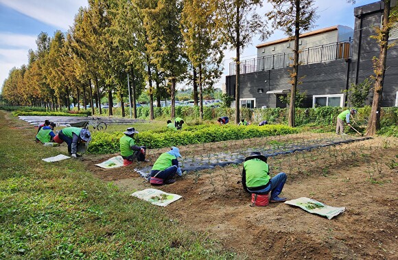성남시 지역공동체 일자리 사업 참가자들이 수목식재를 하고 있다. [사진=성남시]