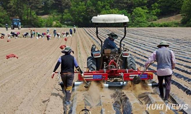충남도는 올해 ‘충남형 고령은퇴농업인 농지이양 활성화 시범사업’을 본격 시행한다