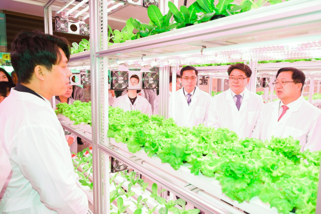 ▲이장우(오른쪽) 대전시장 등이 2일 개장한 '테마형 대전팜'에서 재배하고 있는 작물들을 살펴보고 있다. ⓒ대전시